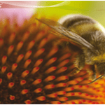 "Moja najveća prednost je u tome što nemam slabe točke ." - John McEnroe